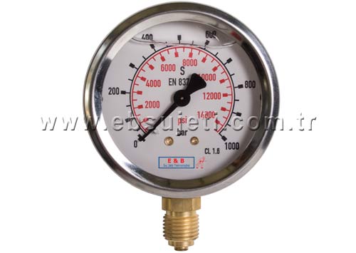 Pressure Gauge 0-1000 bar